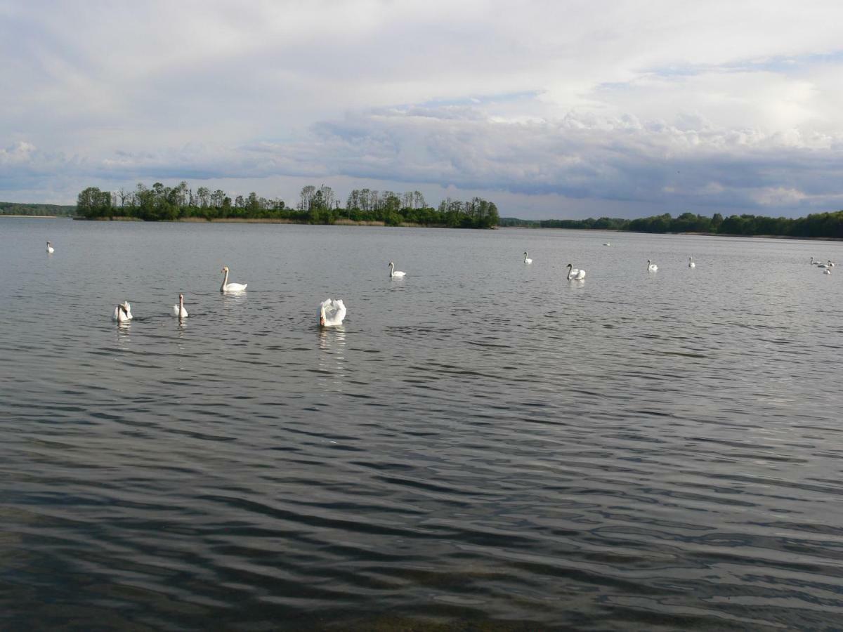 Zlota Lesniczowka Villa Rydzowka Luaran gambar