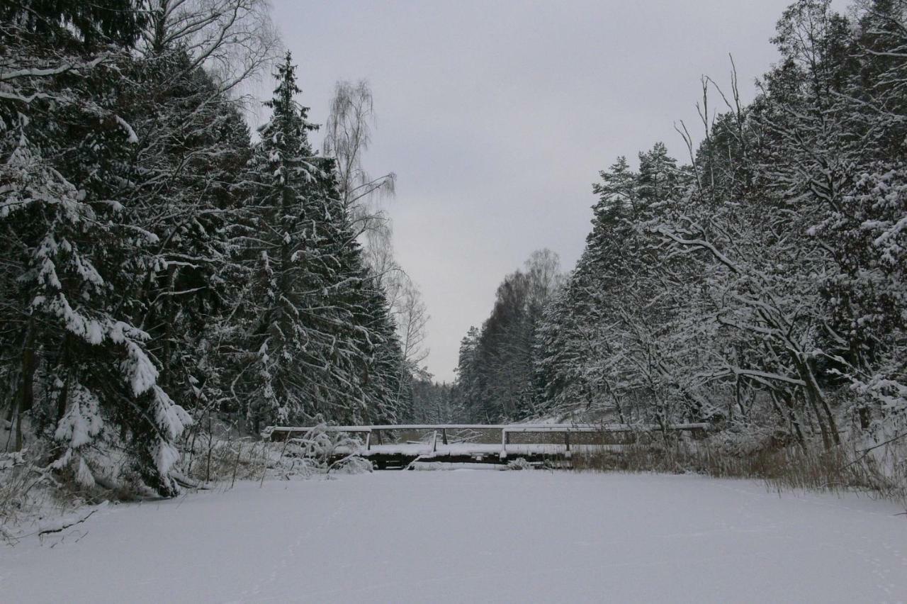 Zlota Lesniczowka Villa Rydzowka Luaran gambar
