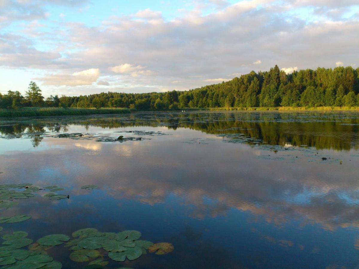 Zlota Lesniczowka Villa Rydzowka Luaran gambar